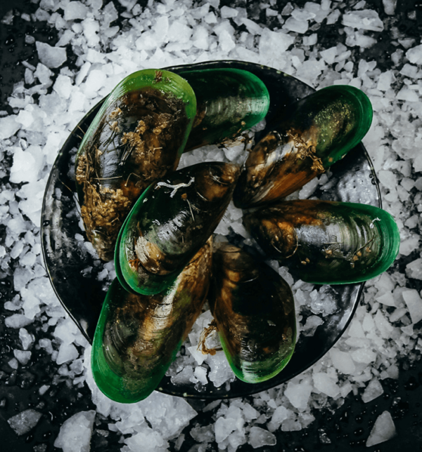 Buy Greenshell Mussells Online Live Seafood Harbour Fish