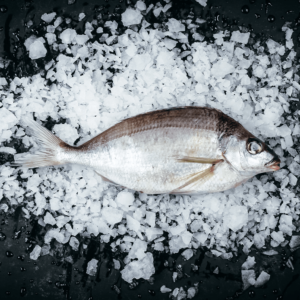 Tarakihi Whole Fresh Fish