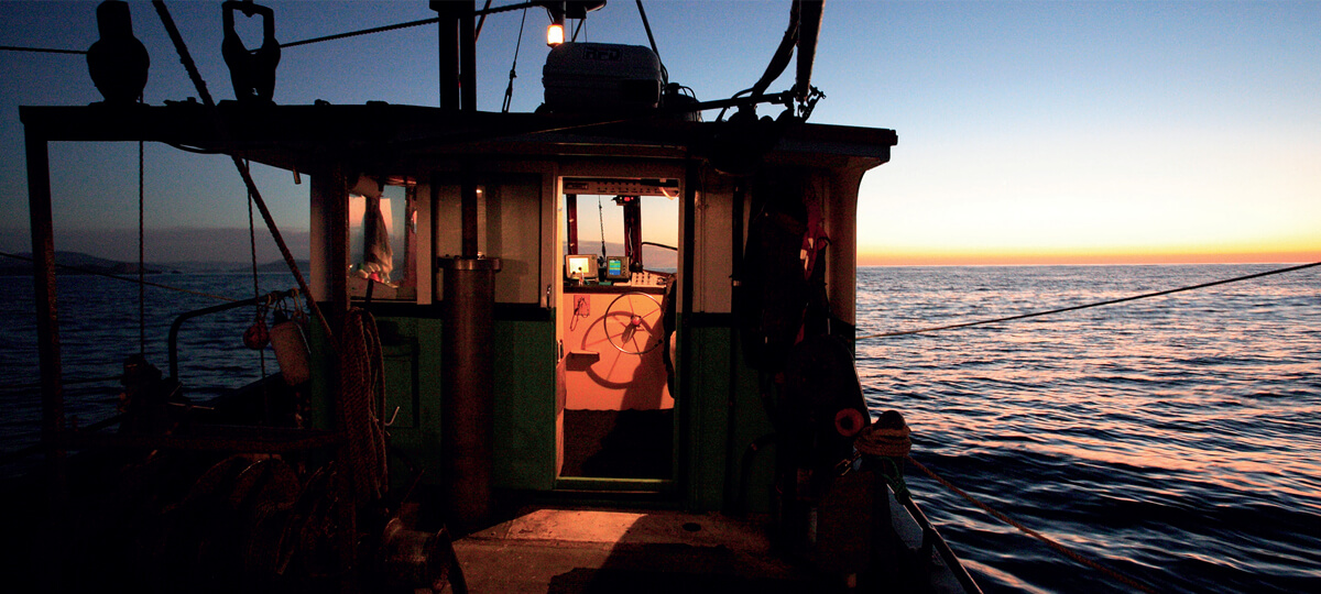 Seafood online - Harbour Fish South Island Seafood
