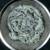 Fresh whitebait