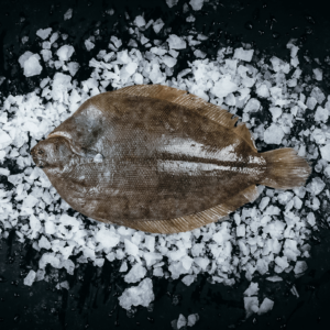 Whole fresh lemon sole fish
