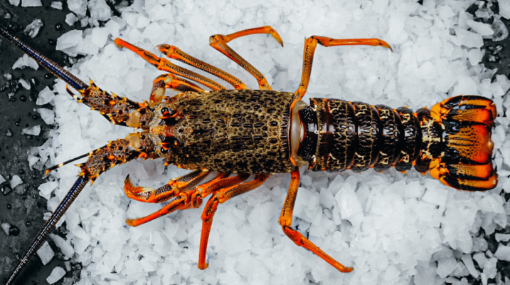 how to clean frozen crayfish