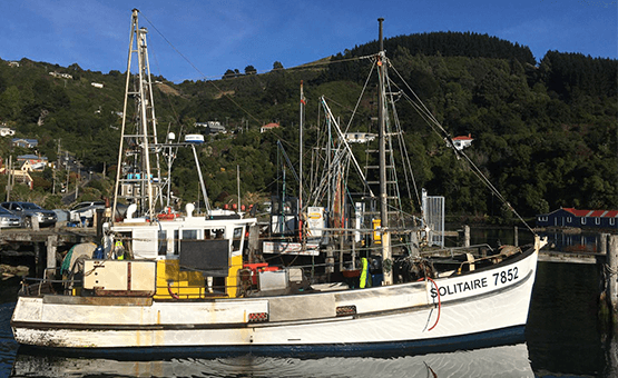 Our Fishers | Harbour Fish | Fresh Seafood | Fresh Food Near Me