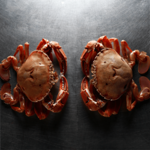 Frozen Seafood