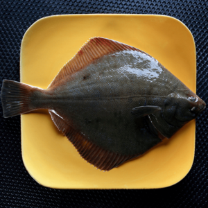 Fresh Seafood