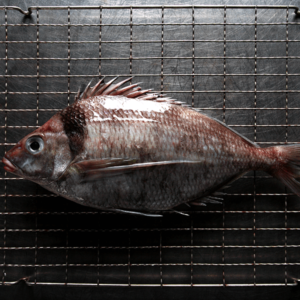 Smoked Seafood & Deli Goods