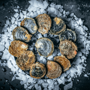 Live Bluff Oysters - 1 dozen