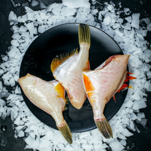 Fresh gurnard wings displayed on a black plate over ice — premium seafood ready to buy from Harbour Fish or add to your fresh fish delivery order.